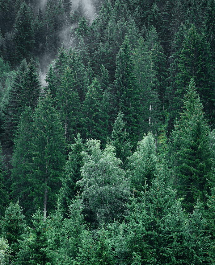 Environnement Background Image