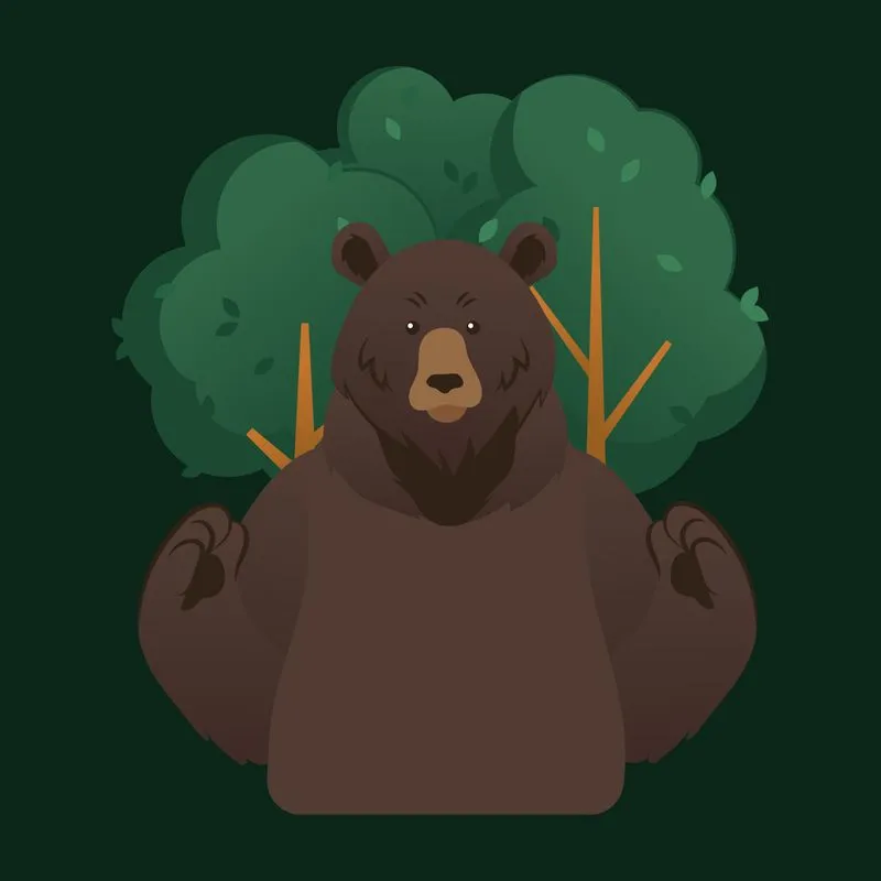 bear illustration