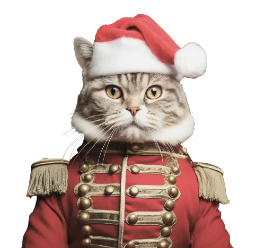 santa cat