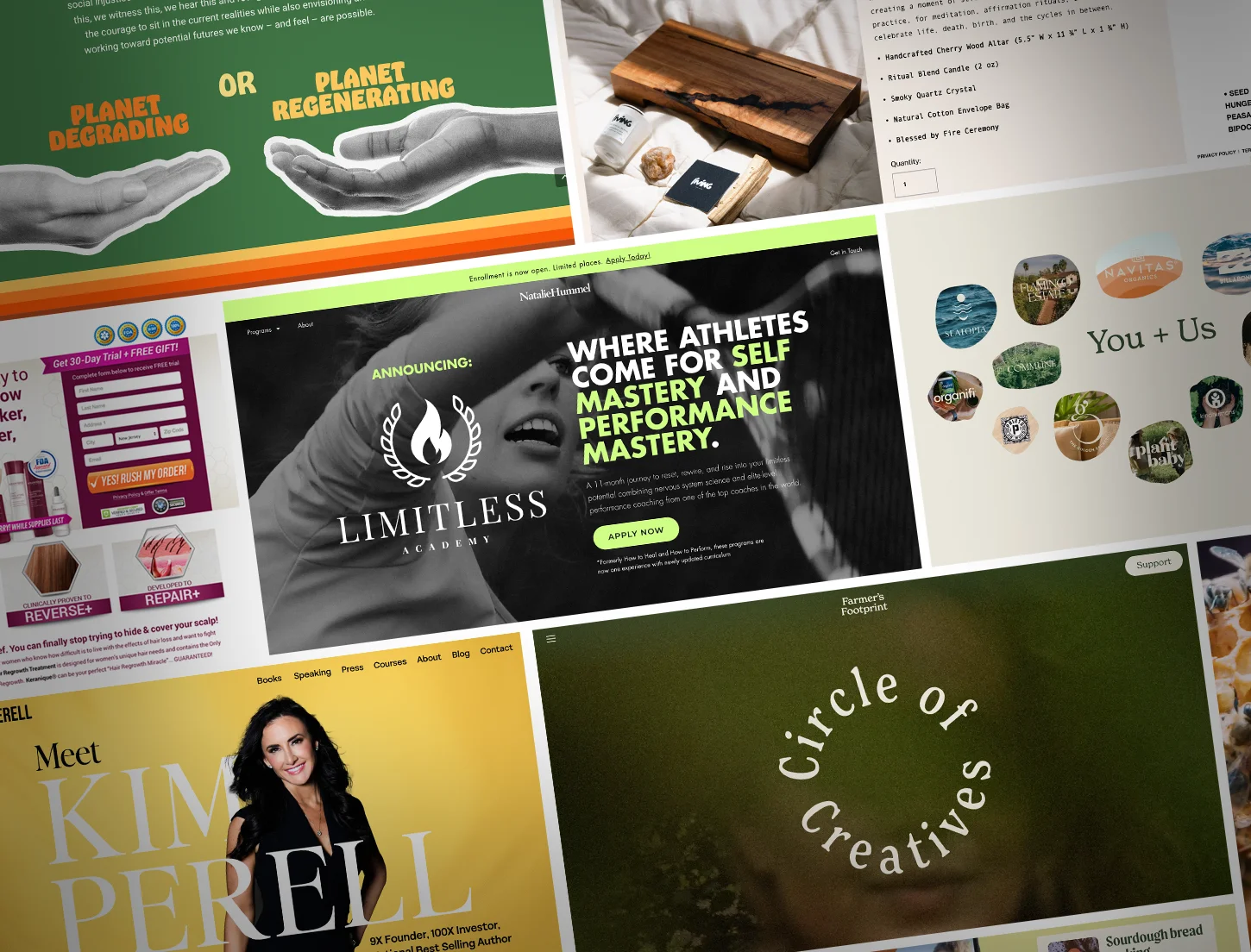 Website Design x Development