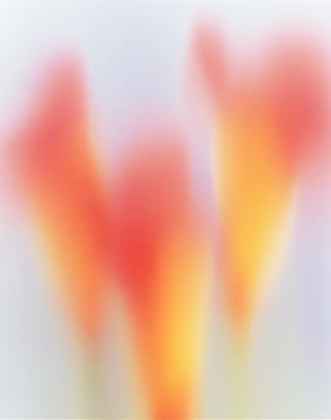 Soft-focus close-up of three orange and yellow flower petals against a light background.