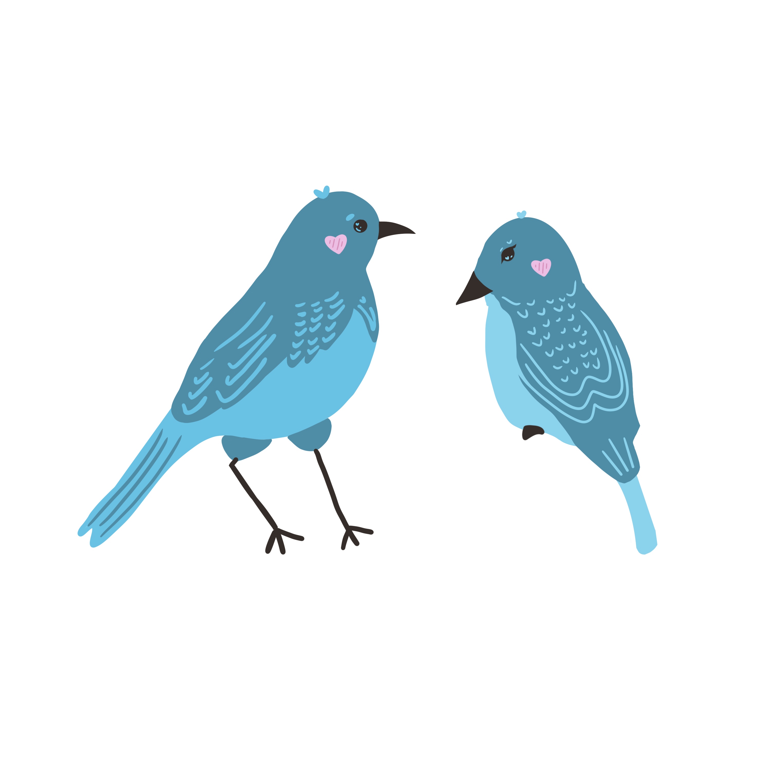 Bluebirds Illustration