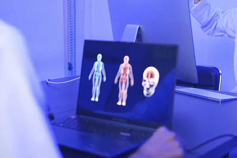 A laptop screen with a 3D image of a human body.