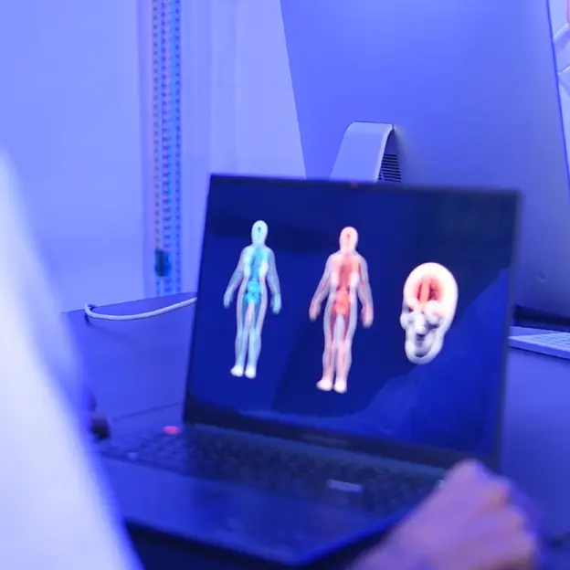 A laptop screen with a 3D image of a human body.