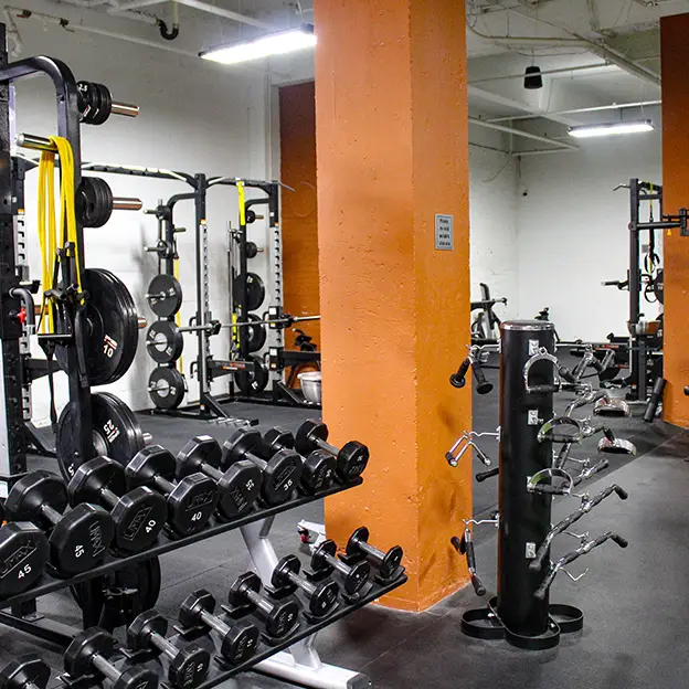 A gym with a black bench and a yellow bar.