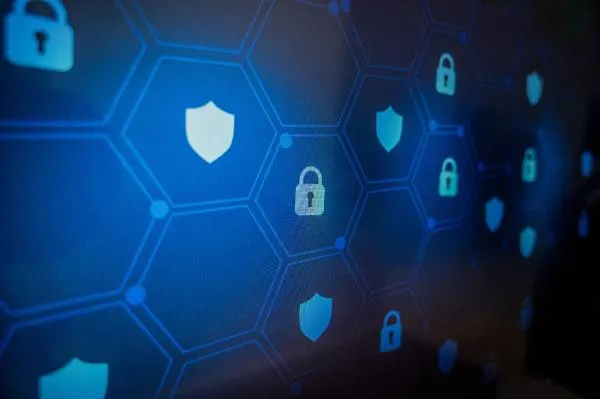 illustration of shields and locks for the privacy concept