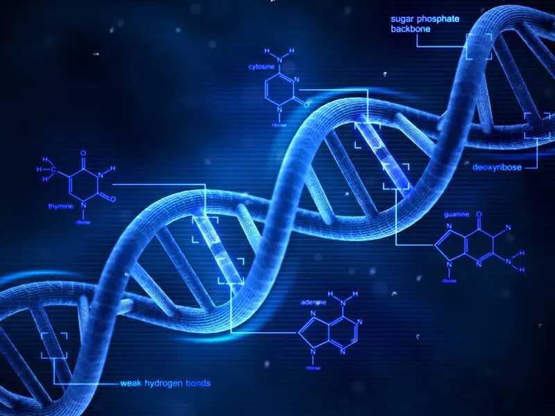 Illustration of human genetic data