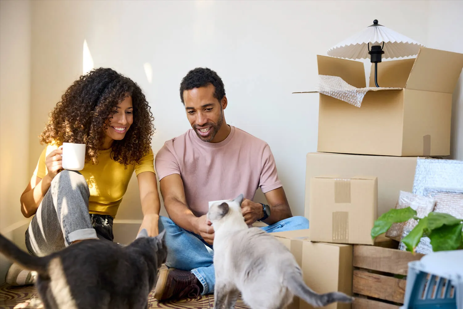 Smiling couple sitting with cats by stack of boxes