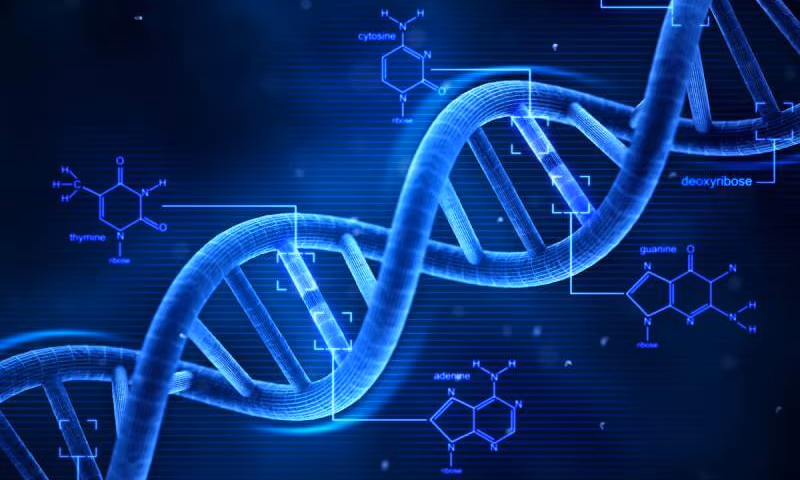 Illustration of human genetic data