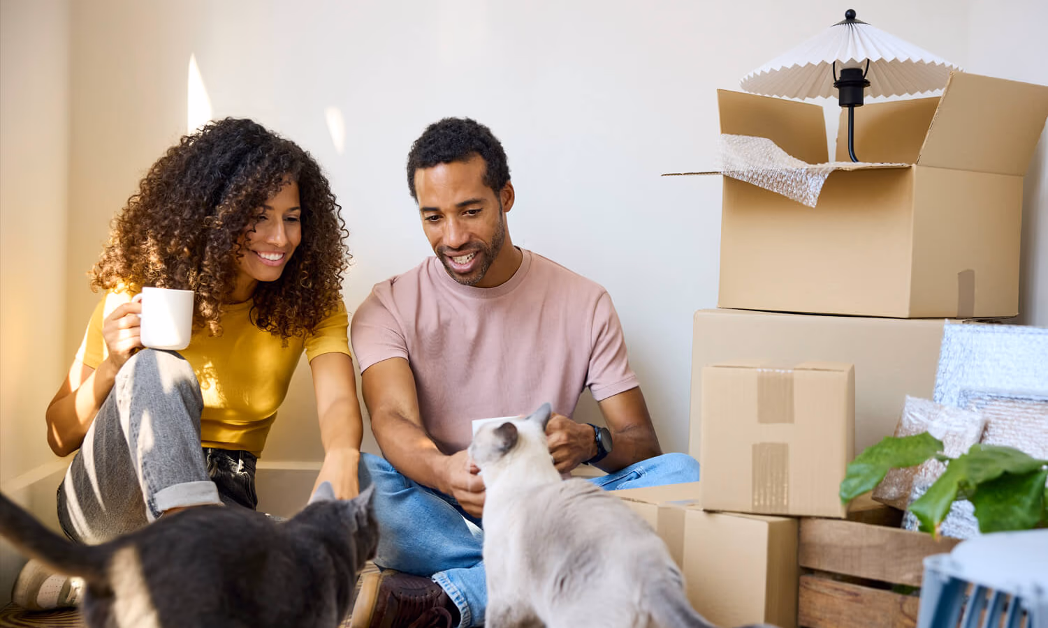 Smiling couple sitting with cats by stack of boxes