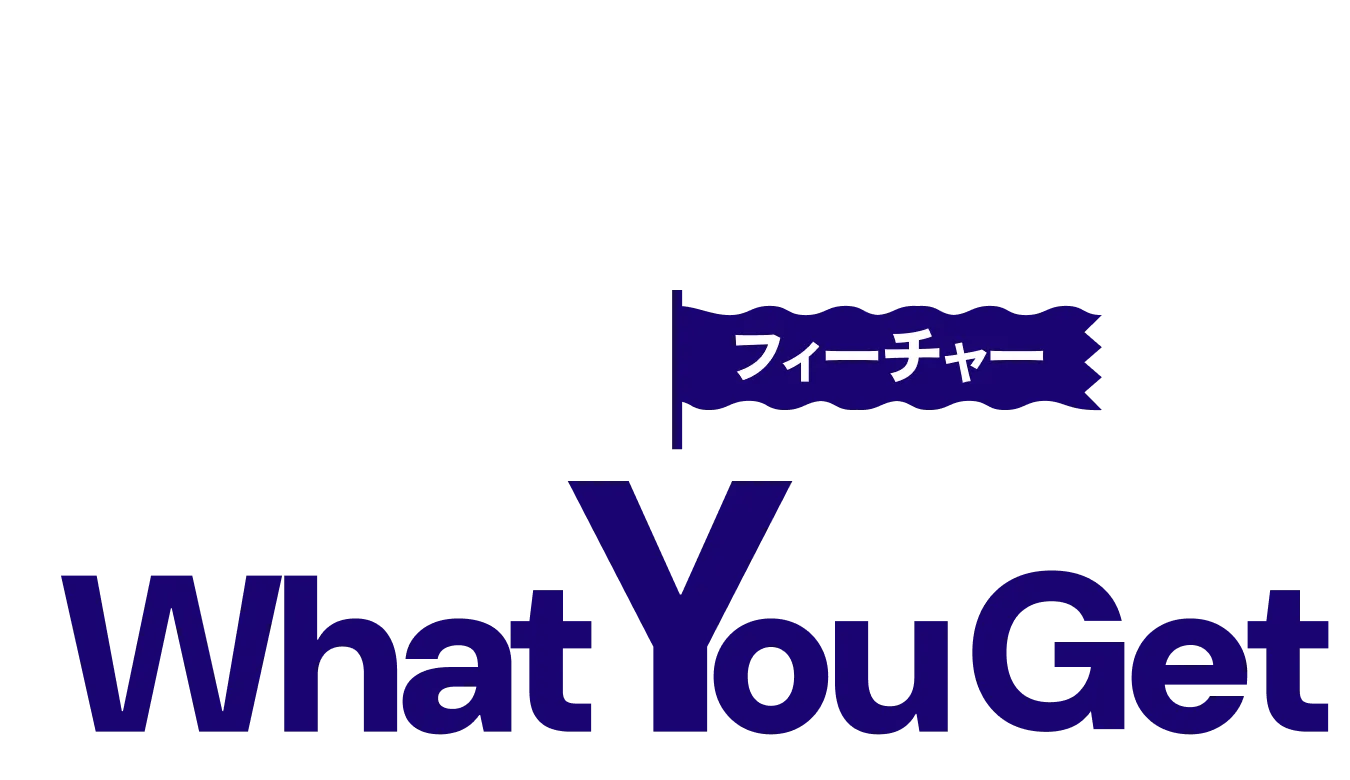 フィーチャー What You get
