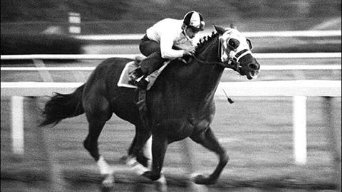 Secretariat