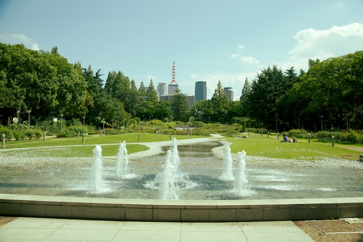 5 Best Parks to Visit in Osaka to Escape from City Hustle - Utsubo