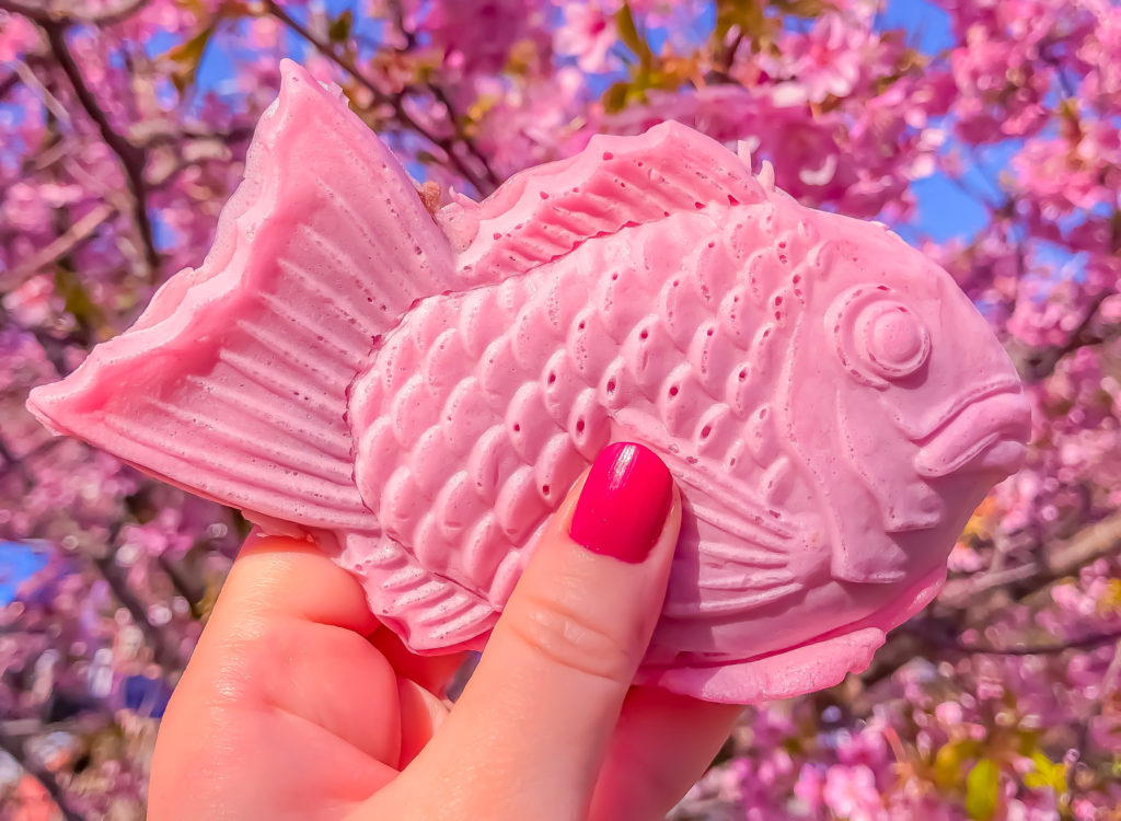 Cherry Blossom Taiyaki Osaka
