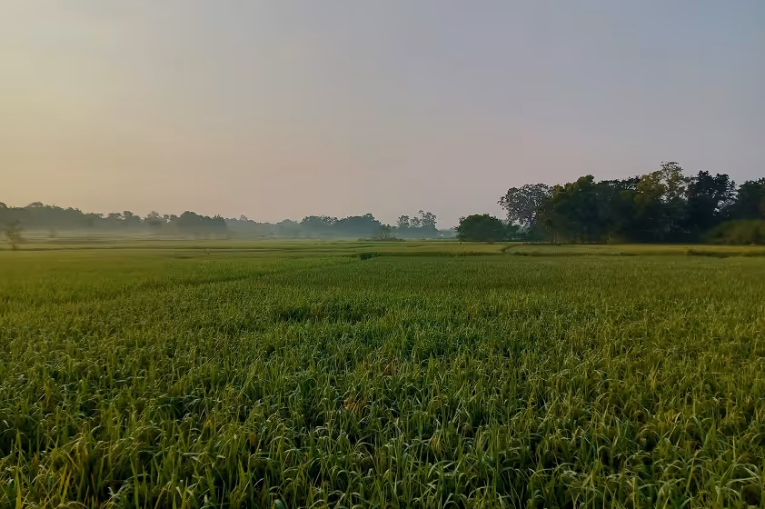 How Climate-Resilient Farming Secures Our Future