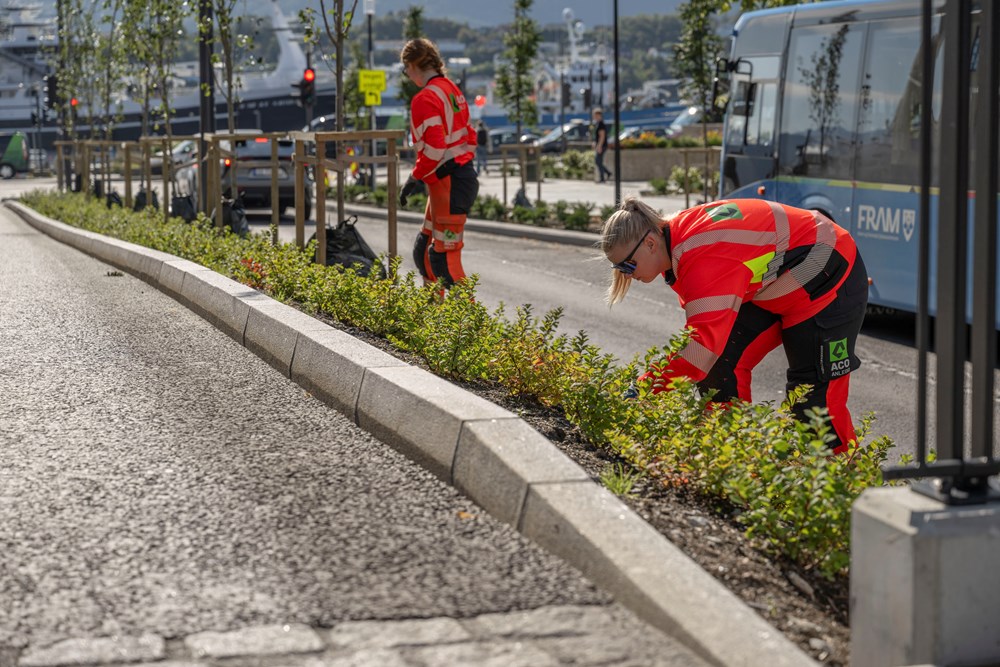 _AFH1095 __ Tony Hall.jpg