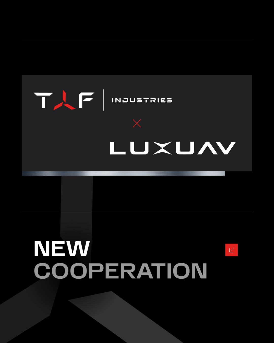 EUDIS Logo