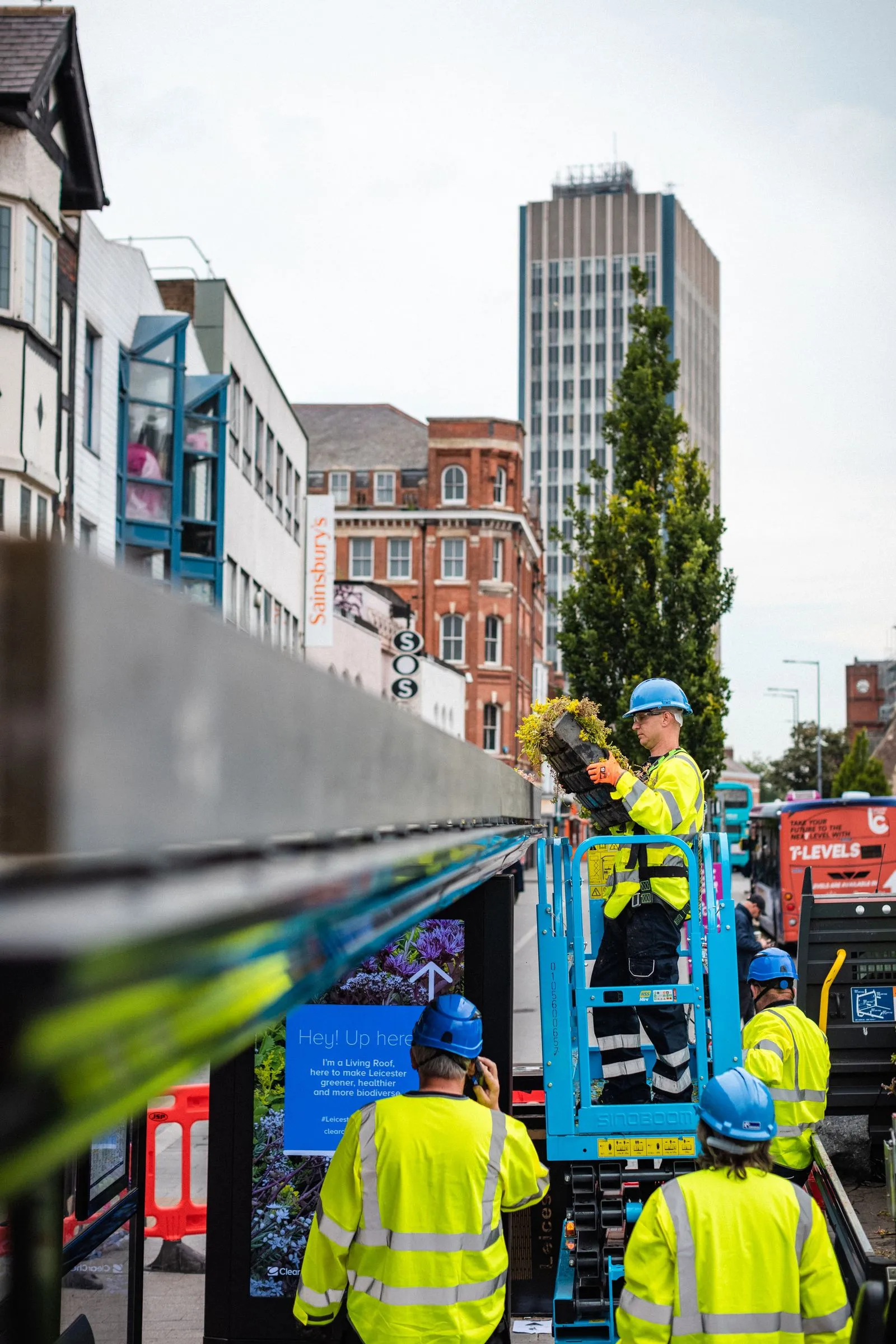 A Bauer Media Outdoor operative installing a living roof on a bus shelter standing on a cherry picker