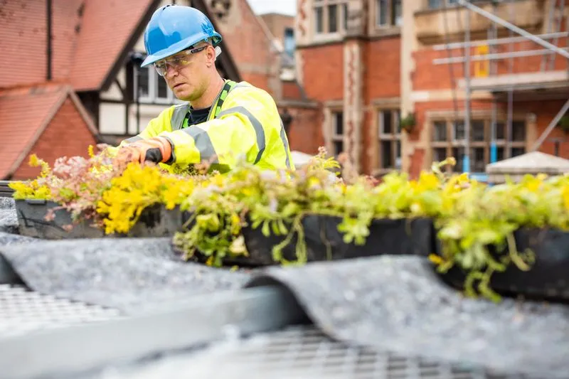 A Bauer Media Outdoor construction worker placing plants on top of a Living Roof to support the local environment
