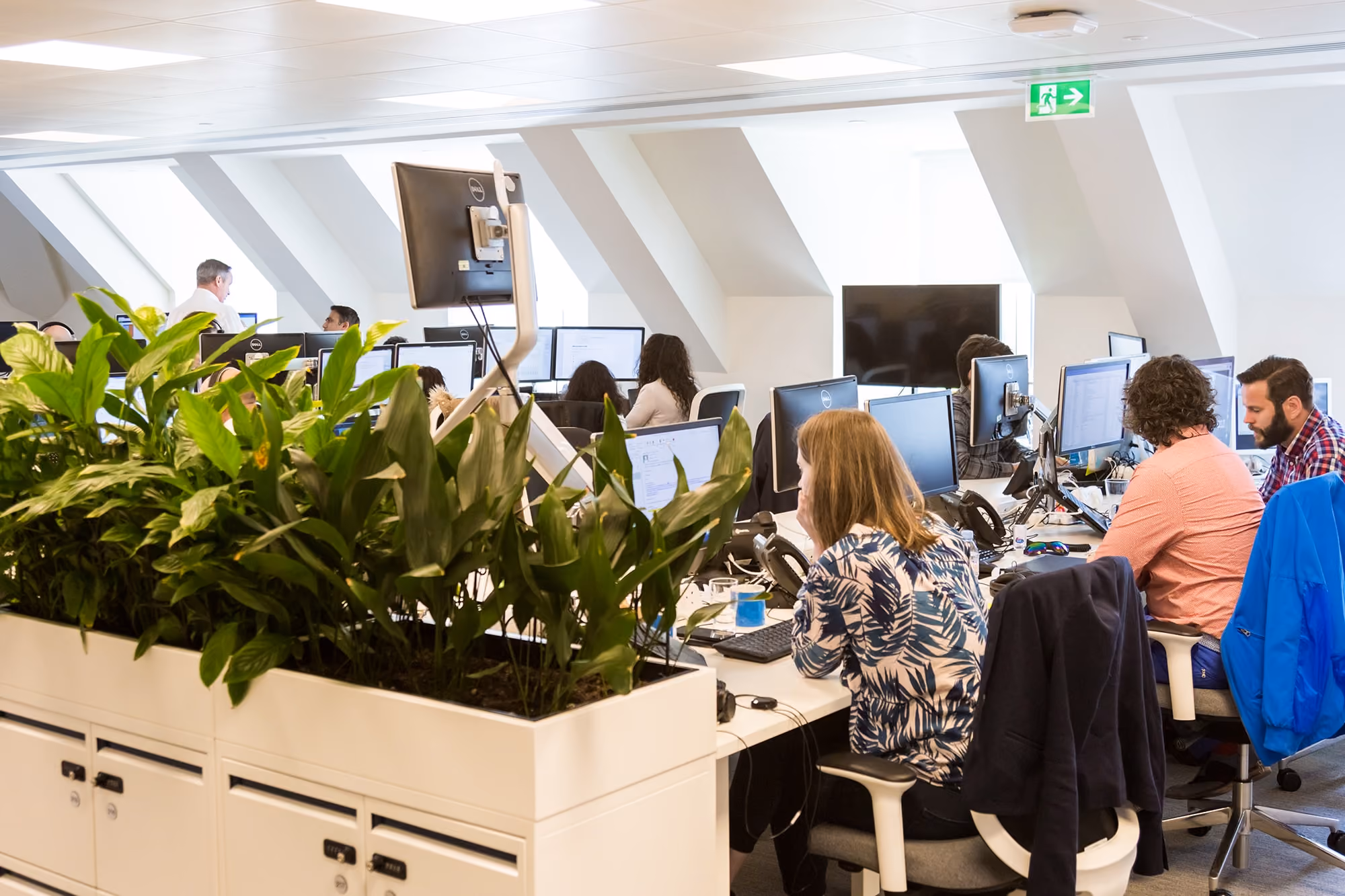 Open office workspace with several people working at desks with computers and a large planter with green plants in the foreground.