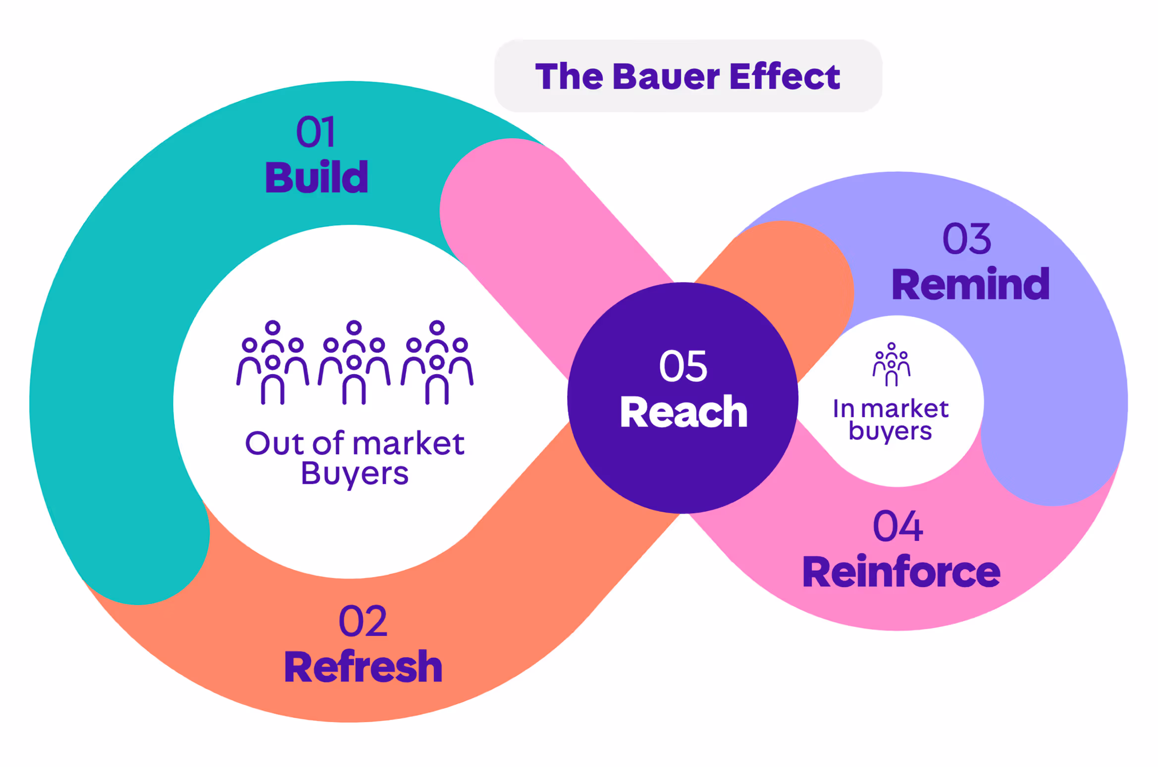 Infographic titled 'The Bauer Effect' showing an infinity loop with steps: 01 Build, 02 Refresh for out of market buyers; 03 Remind, 04 Reinforce for in market buyers; and 05 Reach at the center.