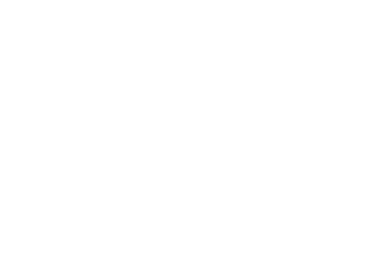 Logotipo de la palabra 'Brisa' en letra cursiva blanca sobre fondo negro.