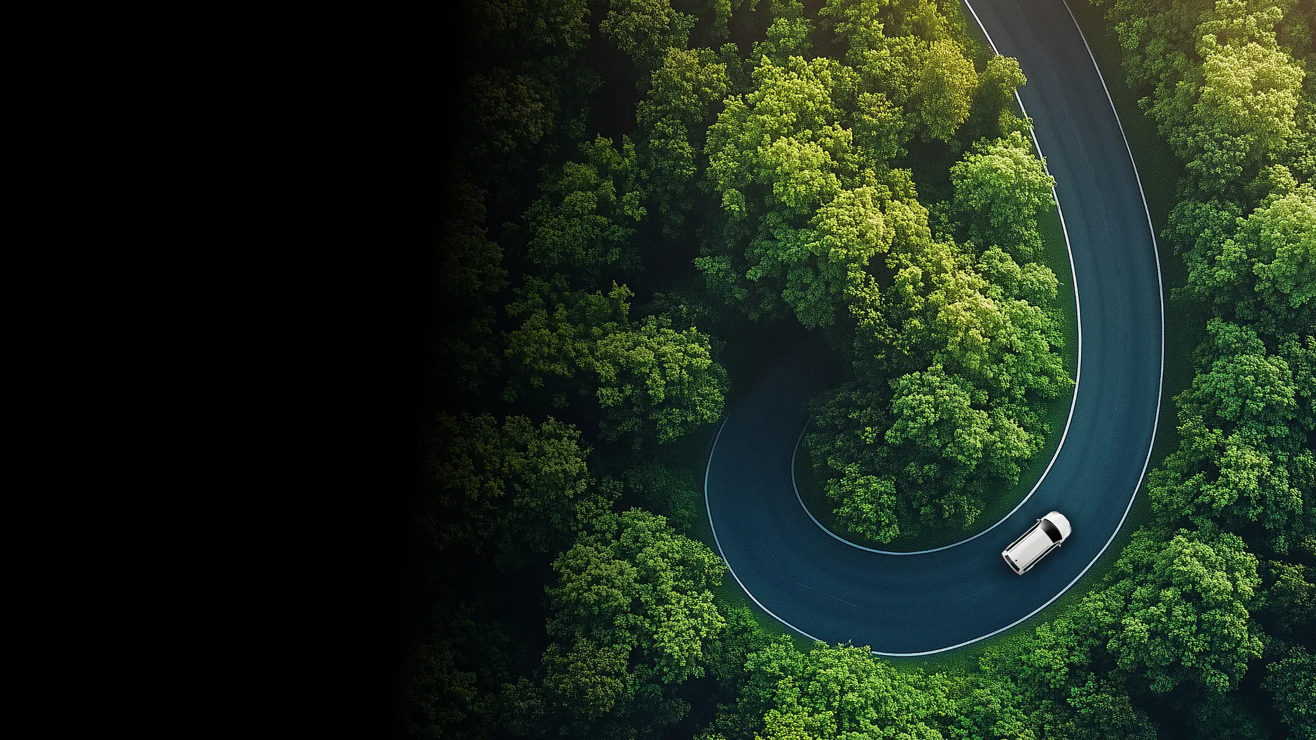 Aerial view of a white car driving on a winding road surrounded by dense green forest.