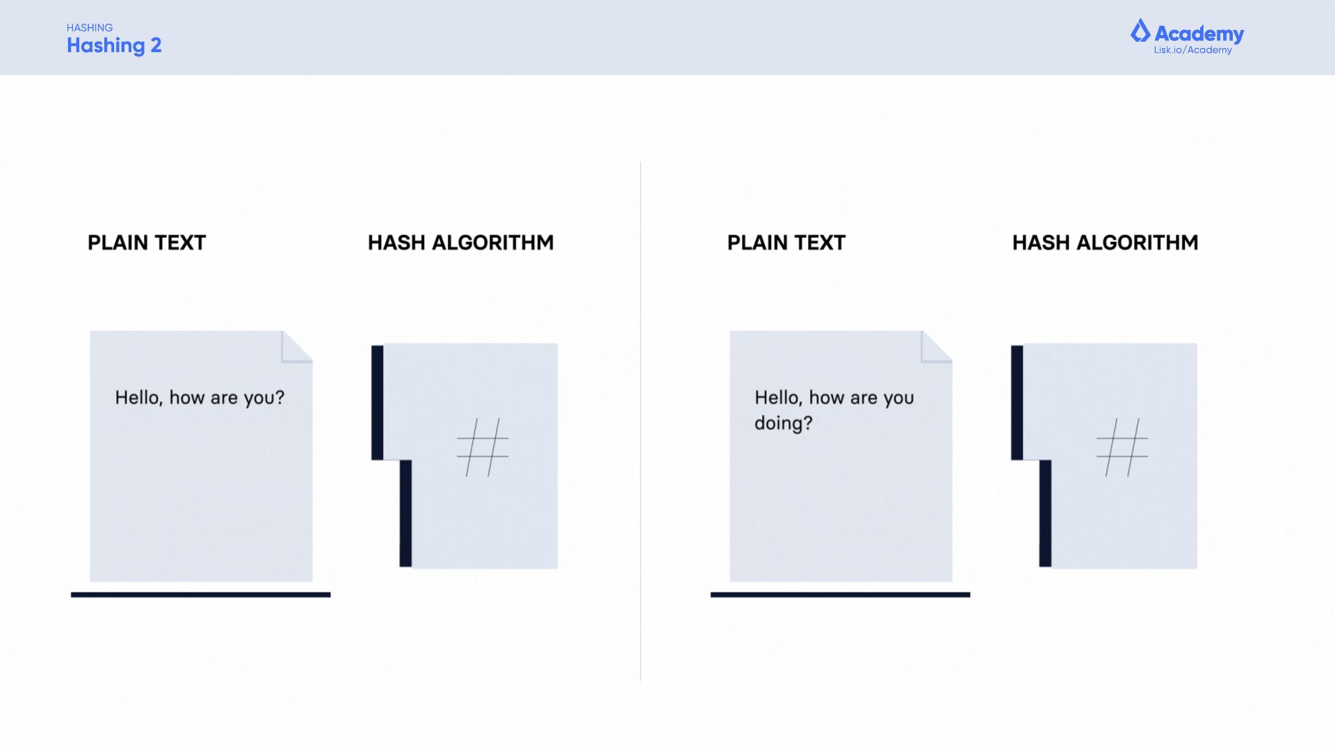 Lisk Academy, hashing animated gif