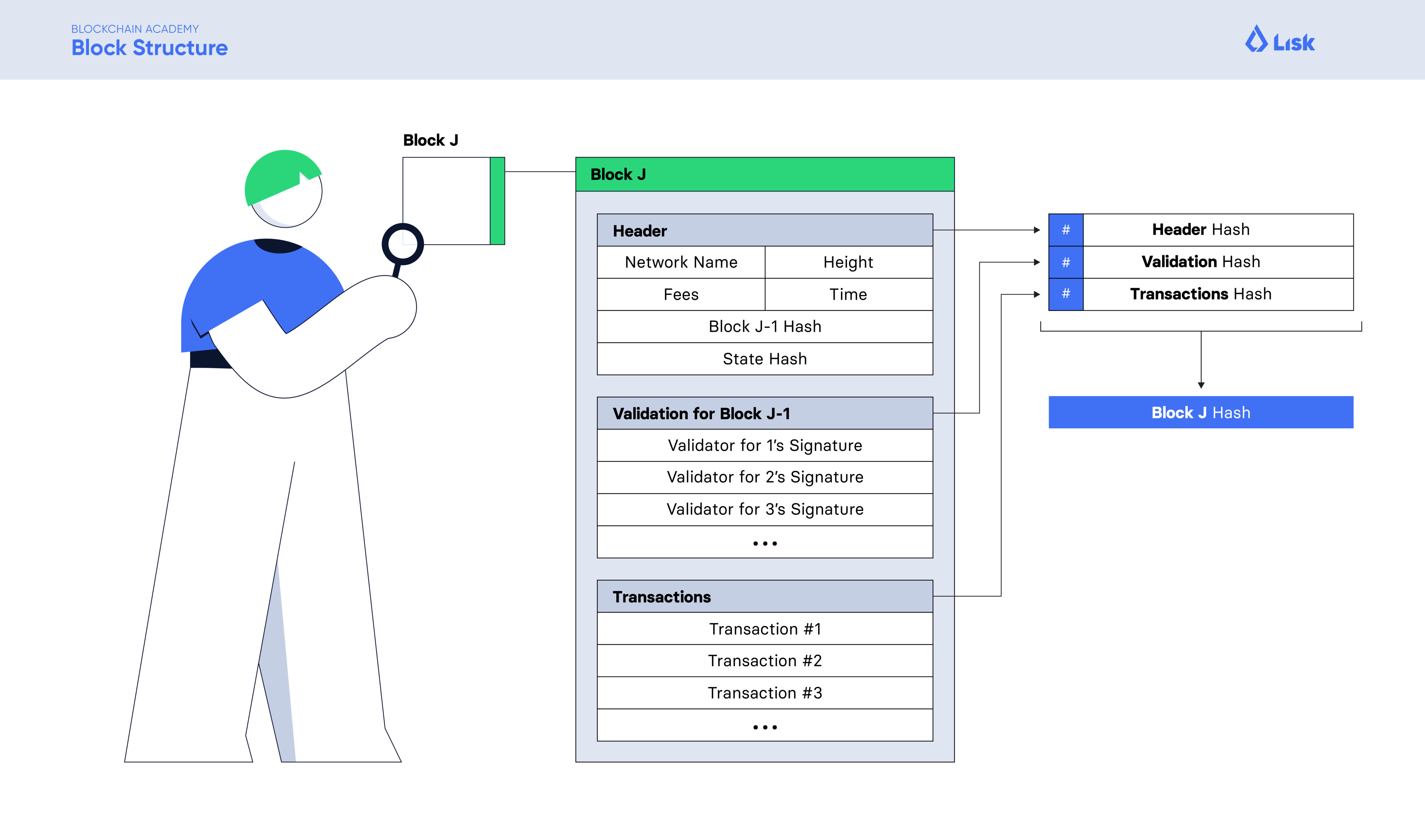 Lisk Academy, block structure infographic