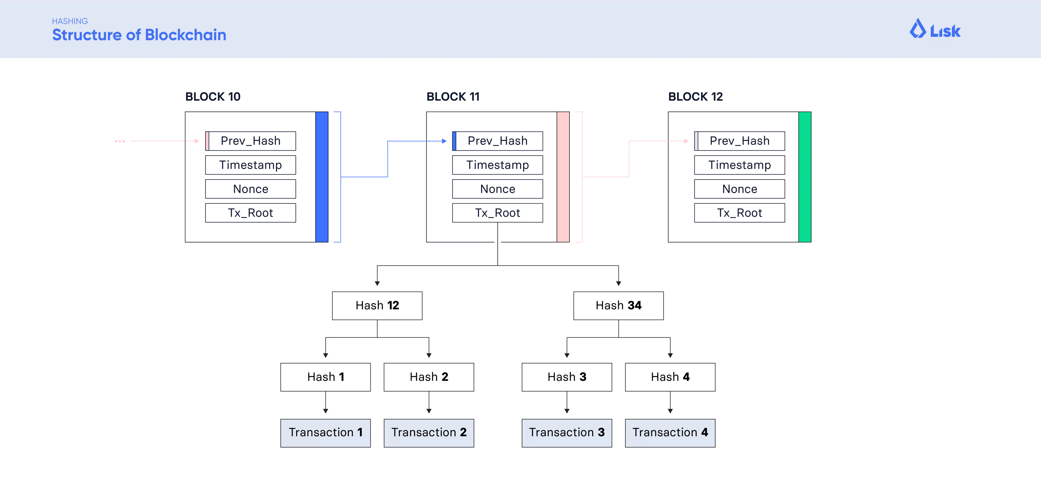 Lisk Academy, structure of blockchain infographic