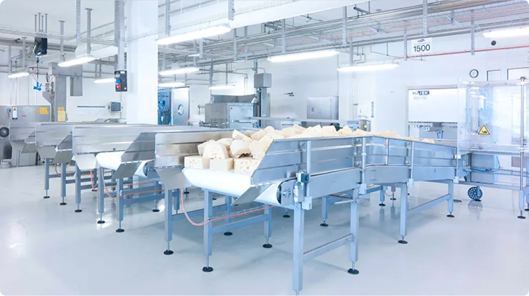 Industrielle Produktionslinie mit Förderband und vielen Käseblöcken in einer sauberen, hellen Fabrikumgebung.