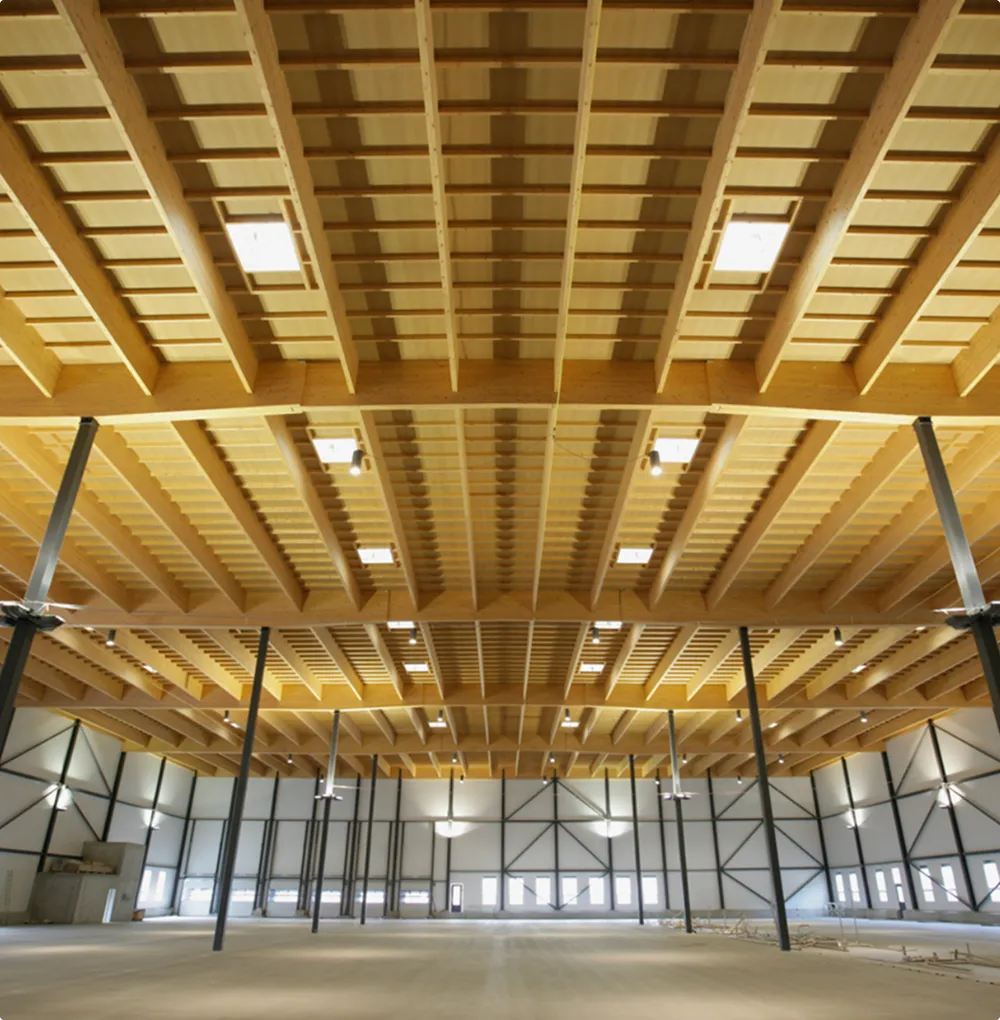 Spacious industrial building with sustainable timber construction and energy-efficient hall design for resource-saving and energy-efficient construction.
