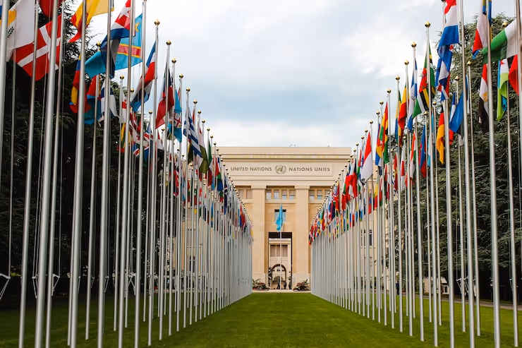 flags on green grass field in front of United Nations building during daytime