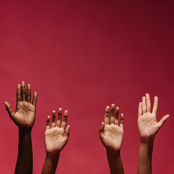 The OpenSSL Foundation announces scholarship opportunities for the OpenSSL Conference