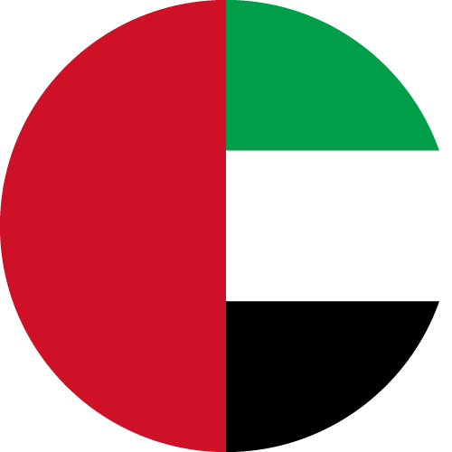 United Arab Emirates flag