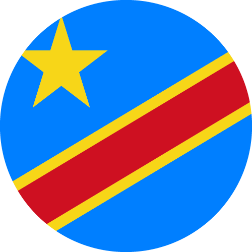 Democratic Republic of Congo flag