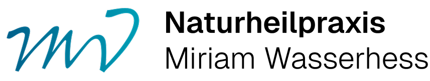 Stylized lowercase letters m and v in blue forming a connected logo design.