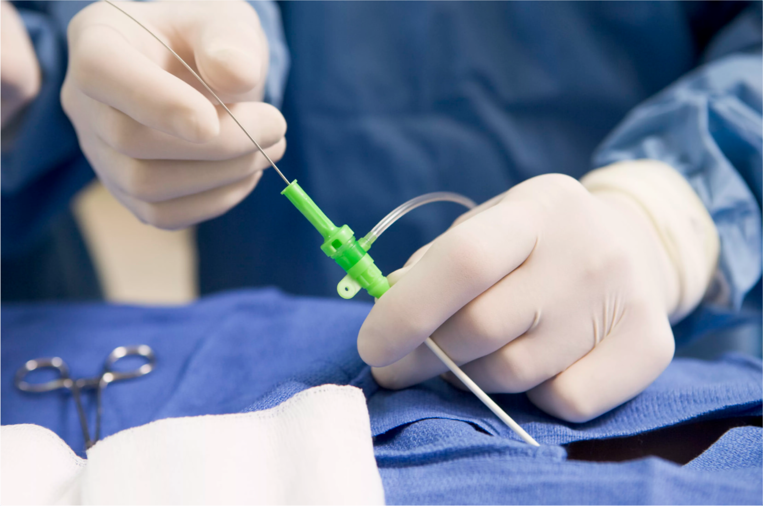 about us banner image