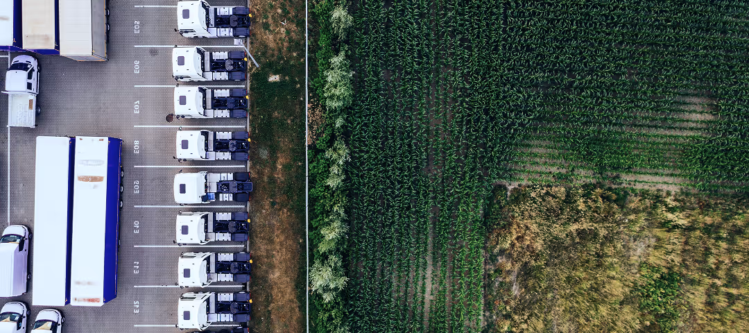 Aerial view of a row of parked white trucks on a paved lot adjacent to a green agricultural field with parallel crop rows.
