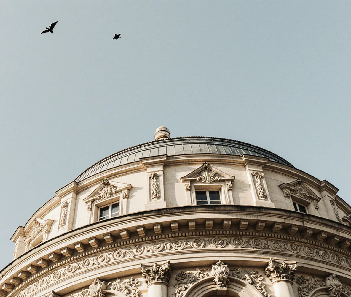 Illustration des formations proposées par le cabinet AND Conseils