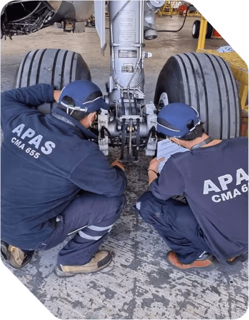 APAS CHILE the human side of technical excellence