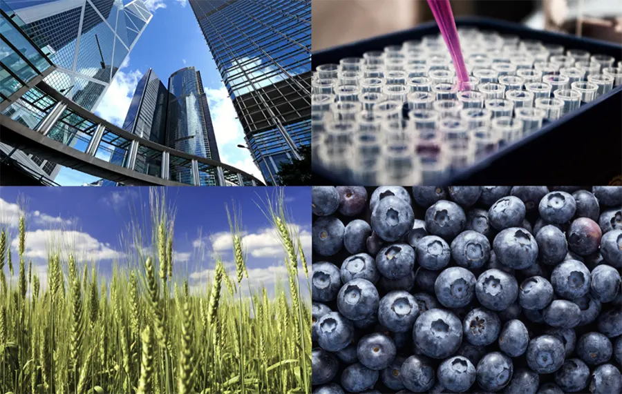 A montage of images that showcase the diversity in real assets: commercial property, technology, agriculture and horticulture.