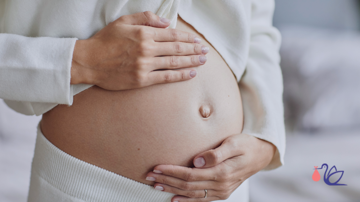 Adenomyosis and Fertility — Hanabusa IVF blog banner