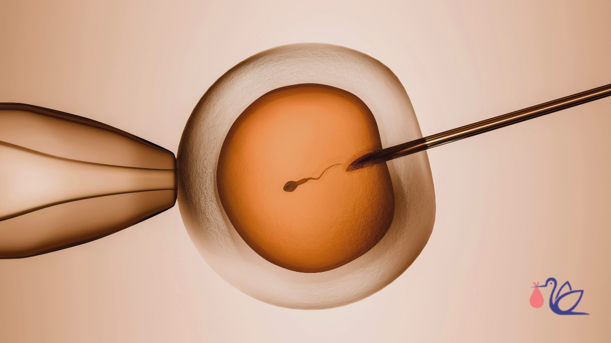 Thin Uterine Lining and IVF — Hanabusa IVF blog banner