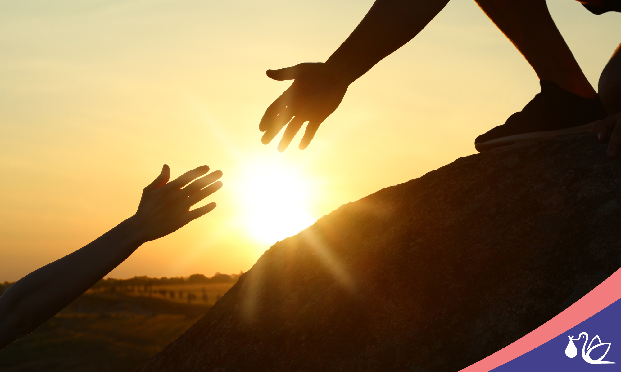 Miscarriage Prevention After IVF Implantation — Hanabusa IVF blog banner