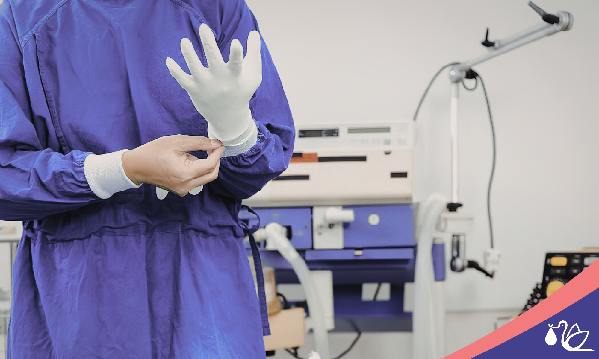 Frozen Embryo Transfer Timing — Hanabusa IVF blog banner