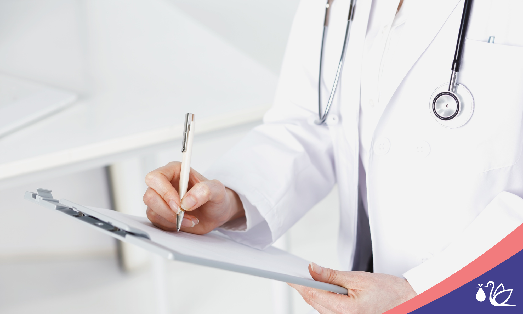 Antral Follicle Count Explained