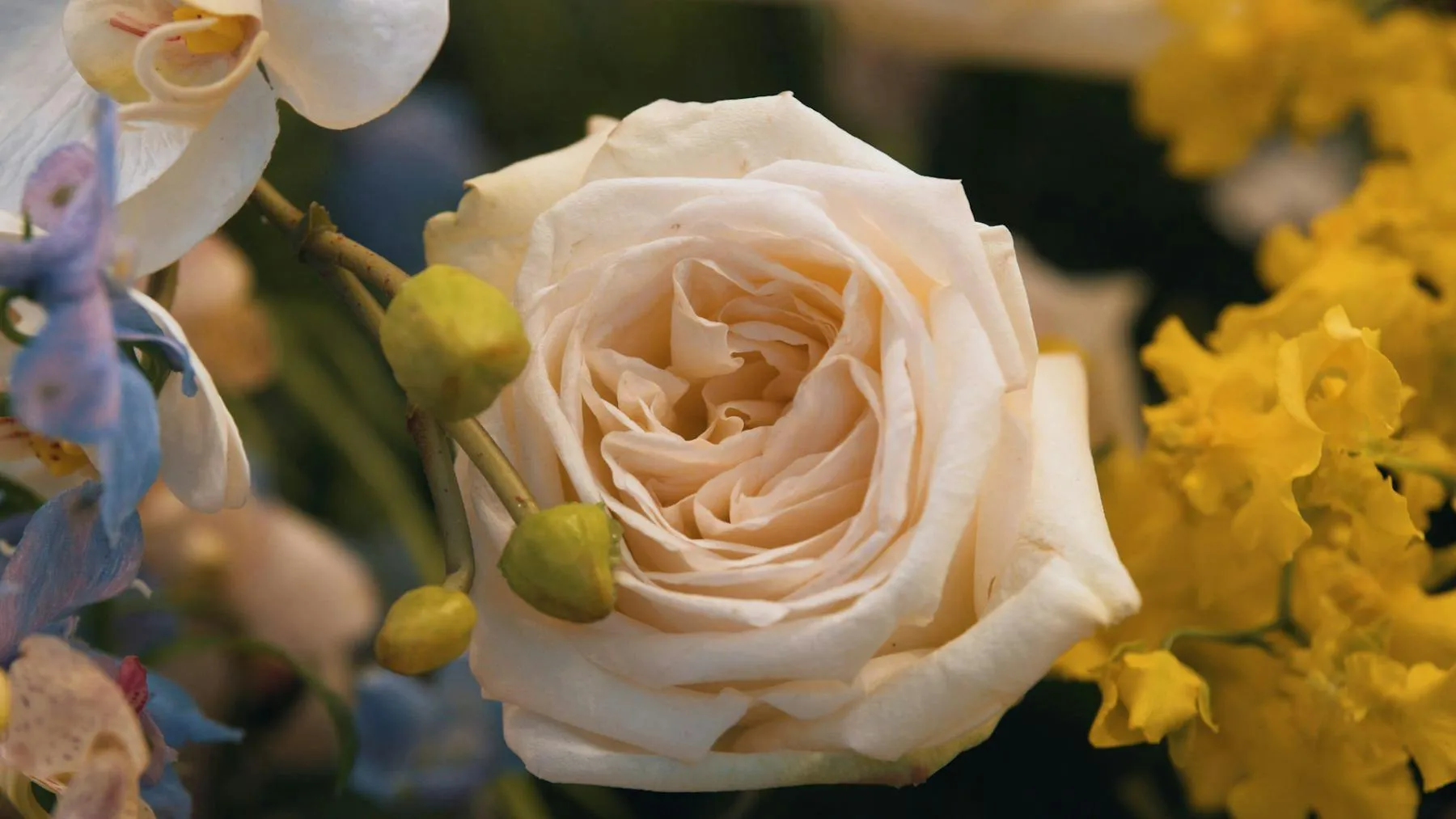 Tucker Floral