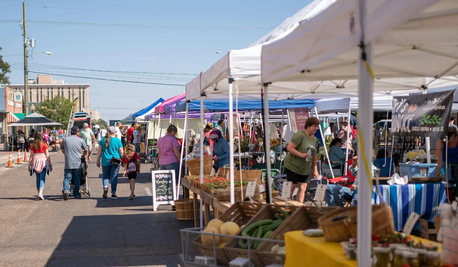 Saturday in DLBK: Lubbock Downtown Farmers Market