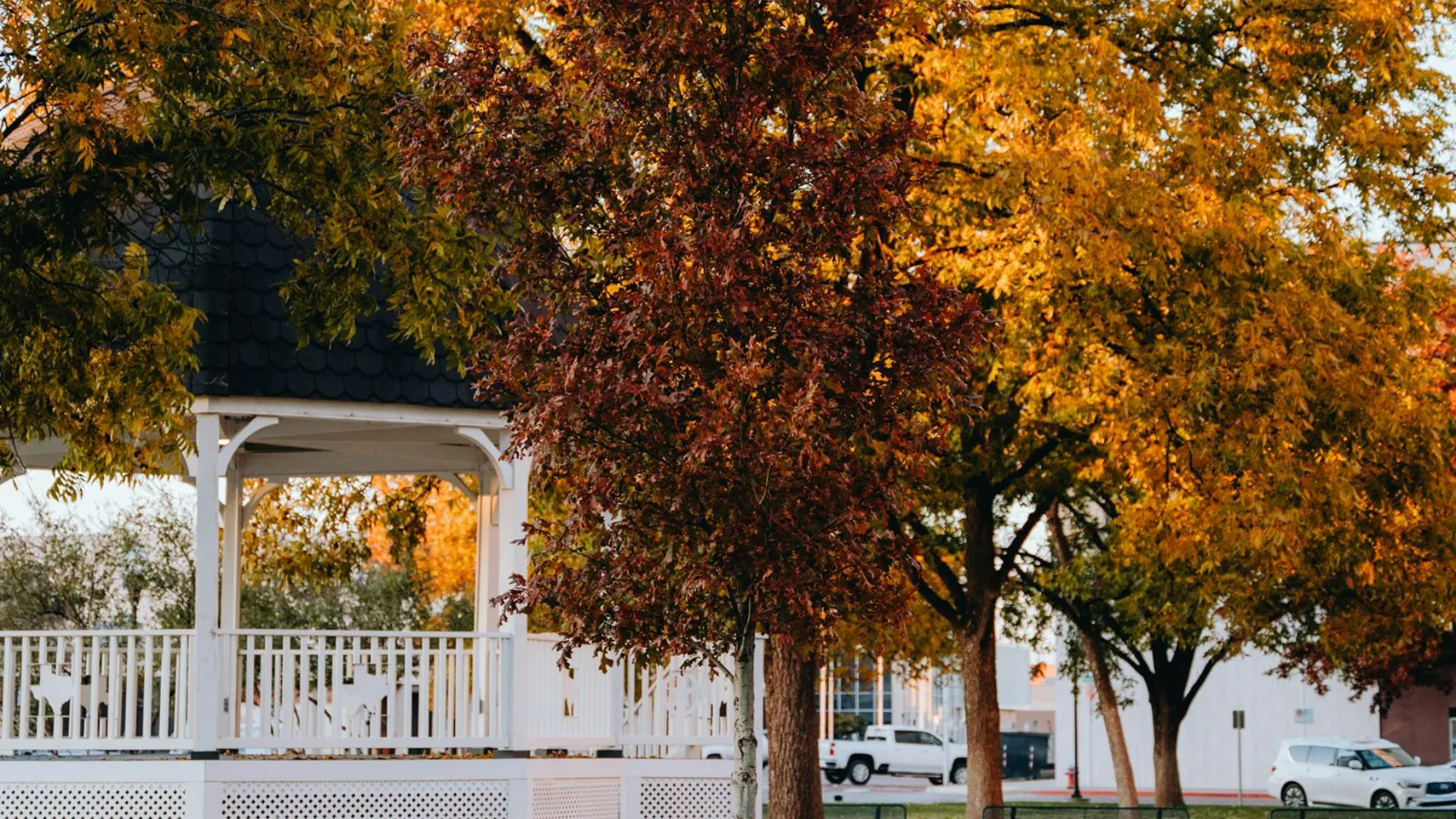Fall in Downtown Lubbock